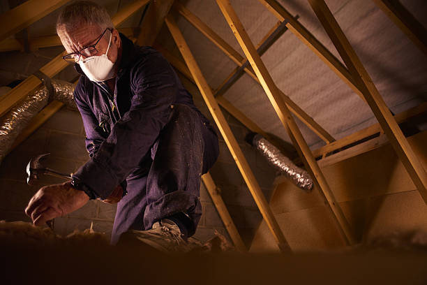 Best Insulation Maintenance and Repair in Mauston, WI